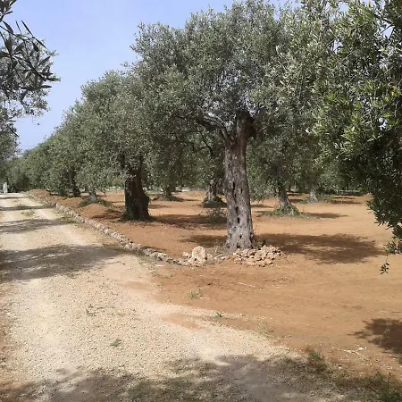לינה וארוחת בוקר Il Fortino אלגהרו